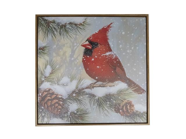 19.7" FRAMED CANVAS WALL ART (CARDINAL ON PINE BRANCH)